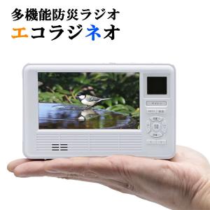 マスプロ（MASPRO） マスプロ電工 手回し充電テレビ・ラジオ HCTVR2