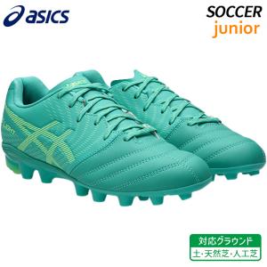DS LIGHT アシックス asics ライト プロ ワイド 1103A122-300 ユニ