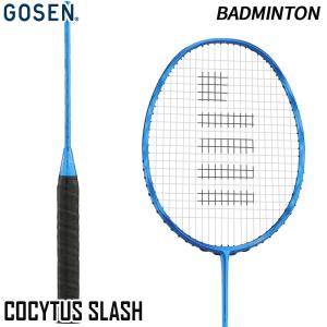 GOSEN（ゴーセン） ゴーセンバドミントンラケット カスタムエッジPS