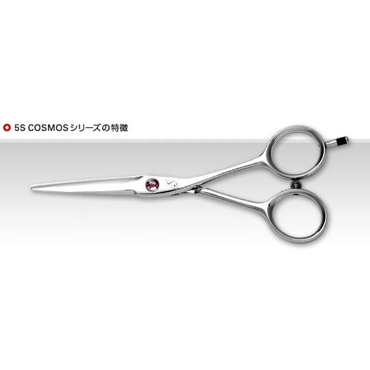 5S コスモス 109 6.0インチ