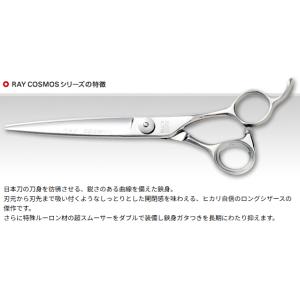 レイコスモス 130 6.5インチ カットシザー