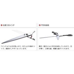 フラットコスモス MASADE(マセード)158の詳細画像1