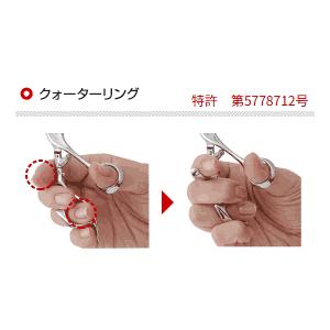 ステラコスモス 802 6.0インチ カットシ...の詳細画像1