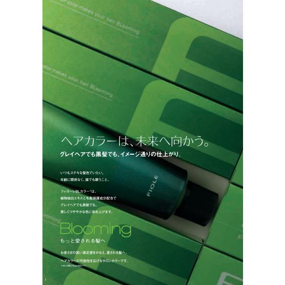 FIOLE(フィヨーレ) BLカラー アシッドタイプ（ACID TYPE） 15色 120g