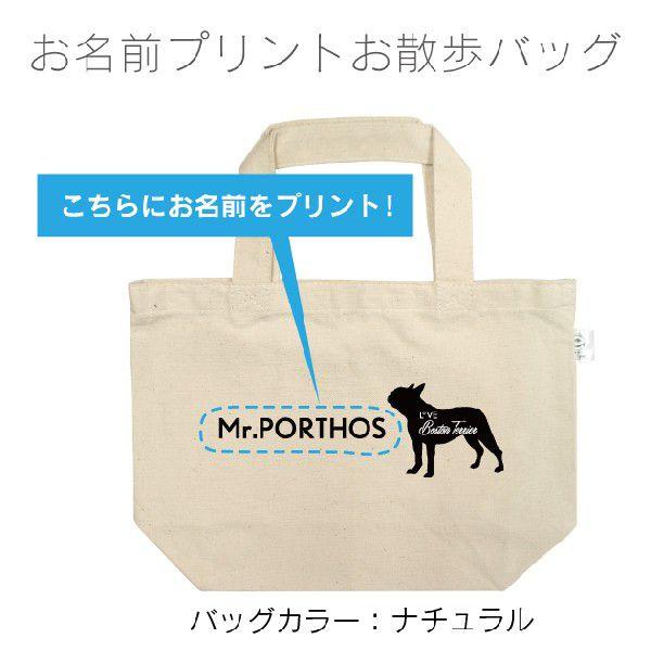 名入れお散歩バッグ（小） ボストンテリア（メール便 送料無料） 名前入りバッグ