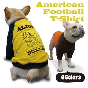 名入れ フェイス プリント ラグラン Tシャツ メール便 送料無料