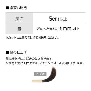 くせ毛を残せる 赤ちゃん筆 光文堂 髪の毛 出...の詳細画像5