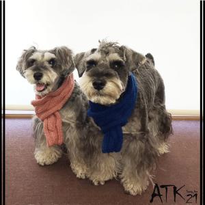 ハンドメイド 手作り 犬用マフラー 縄編みマフラー 愛犬