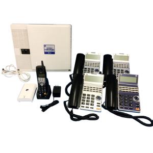 サクサ SAXA ビジネスホン PLATIAII Standard PT1000IIStd TD810K 18