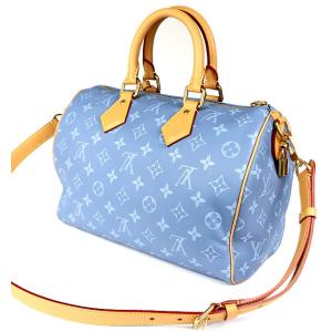 LOUIS VUITTON 銀座店 ルイヴィト...の詳細画像2