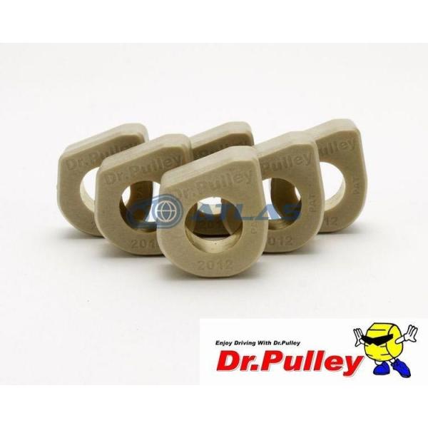 Dr.Pulley ドクタープーリー スライディングウェイトローラー φ20×12 9.5g 6個セ...