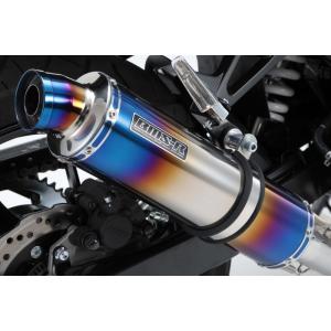 BEAMS（ビームス） BEAMS GSX250R マフラー G335-53-P6J 2BK-DN11A R