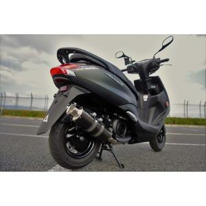 カワサキ（Kawasaki） タイカワサキ純正 ニンジャ Ninja ZX-25R SE ZX