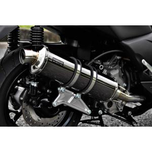 AKRAPOVIC 送料無料 スリップオンマフラー XMAX250 XMAX300 X