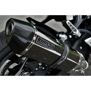 BEAMS G430-62-P5J NINJA250/Z250 2018~ 8BK-EX250Y/2...