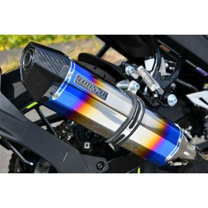 ジクサー Realize ジクサー250 ジクサーSF250 バイクマフラー 2BK