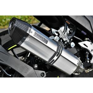 Realize ジクサー250 ジクサーSF250 バイクマフラー 2BK-ED22B 8BK