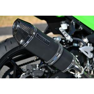 AKRAPOVIC（アクラポビッチ） スリップオンマフラー カーボン NINJA250