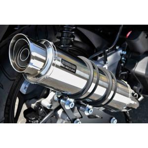 beams マフラー　jk05 BEAMS G195-64-000 PCX 2021~ 2BJ-JK05 CORSA-EVO2 ステンレス