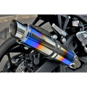 SP TADAO SP忠男マフラー 2023~V-Strom250 (8BK-DS12E) POWERBOX