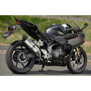 AKRAPOVIC（アクラポビッチ） 政府認証マフラー スリップオンライン