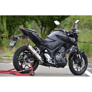YAMAHA（ヤマハ） DEVIL デビル YZF-R25 MT25 EVOLUTION スリップオン