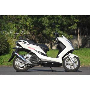 マジェスティ Realize マジェスティS バイクマフラー JBK-SG28J 2BK