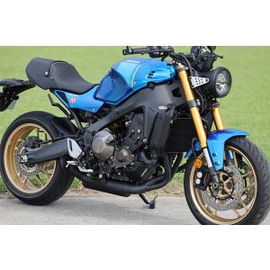 AKRAPOVIC 直送品 アクラポビッチ レーシングライン カーボン