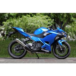 SP忠男 (SPタダオ) パワーBOXパイプ エキゾーストパイプ Ninja250