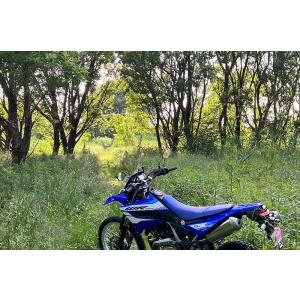 スズキ 純正新品 GT380 GT550 タンク エンブレム 左右 セット サンパチ