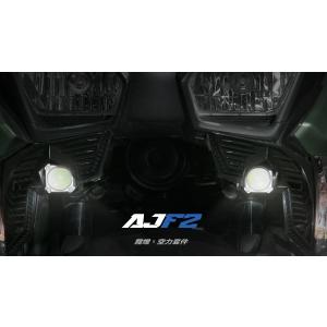 RPM EX ツインチューブリアサスペンション 1〜3型 シグナスX CYGNUS X