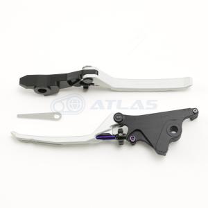 APEXX 6型 CYGNUS GRYPHUS シグナス グリファス グリフィス BW`S125