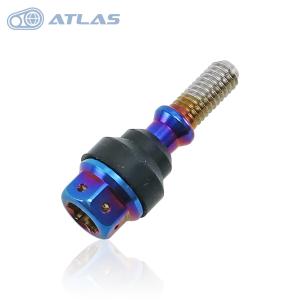 JSMStar Bolt CNC加工 ヘキサゴンヘッド SUS PVDチタンコートボルト M6×30mm P1.0mm M10ヘッド 焼き色ブルー｜atlas-parts