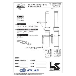 RPM GII LS 6型CYGNUS X シ...の詳細画像2