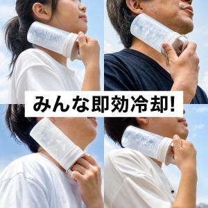 アトラス 氷嚢 氷のう 魔法瓶 ボトル 保冷 ...の詳細画像4