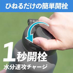 水筒 590ml 保冷 真空断熱 ステンレス ...の詳細画像3