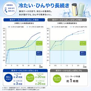 アトラス 氷嚢 氷のう 魔法瓶 ボトル 保冷 ...の詳細画像5