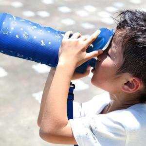 水筒 850ml 810ml 保温 保冷 子供...の詳細画像1