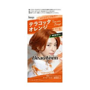 ホーユー ビューティーン メイクアップカラー テラコッタオレンジ 1個 最安値 価格比較 Yahoo ショッピング 口コミ 評判からも探せる