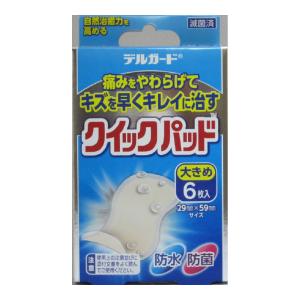 阿蘇製薬 デルガード クイックパッド 大きめサイズ 6枚入｜atlife-shop