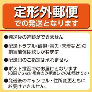 【定形外郵便】ルシード オイル クリア 洗顔 ...の詳細画像1