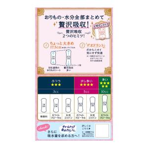 (送料無料)ユニ・チャーム ソフィ Kiyor...の詳細画像1
