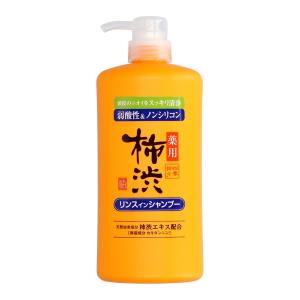 サロンリンク 薬用 アミノ トリートメントインシャンプー ( 1000ml