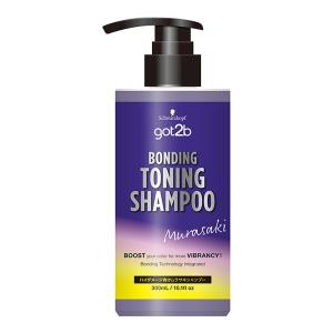 テンスター カラーシャンプー ブラック ( 300ml )/ ナチュラル 毛染め