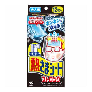 小林製薬 冷凍庫用 熱さまシート ストロング 大人用 12枚入 (4987072048986)｜atlife