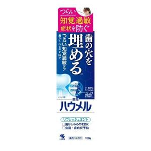 【送料無料】小林製薬 ハウメル リフレッシュミント 100g 薬用ハミガキ 1個｜atlife