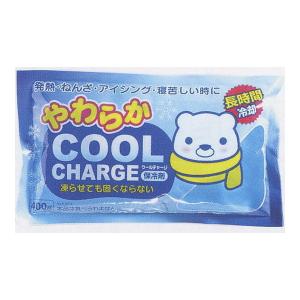 オアシスプランニング やわらかクールチャージ 保冷剤 400g 1個 (配送おまかせ)