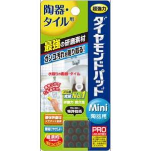ヒューマンシステム ダイヤモンドパッド ミニ 陶器用 10g
