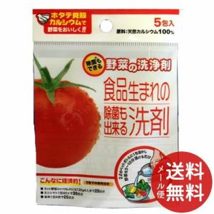 日本漢方研究所 ホタテの力くん 海の野菜・くだもの洗い 90g