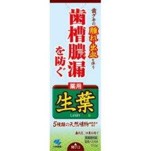 小林製薬　生葉(しょうよう)b 100g　（歯周病・知覚過敏用歯磨き粉・ハミガキ）×10点セット　★まとめ買い特価！（4987072008041）｜atlife